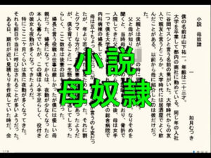 小説版  母奴●