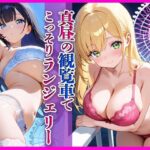 真昼の観覧車で こっそりランジェリー 〜背徳のシークレット〜