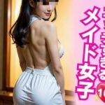 エッチな私は嫌いですか？？綺麗なだけじゃない僕のメイド！！