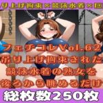 フェチコレVol.63 吊り上げ拘束された競泳水着姿の巨乳・巨尻熟女を後ろから眺めるだけ【総枚数250枚】